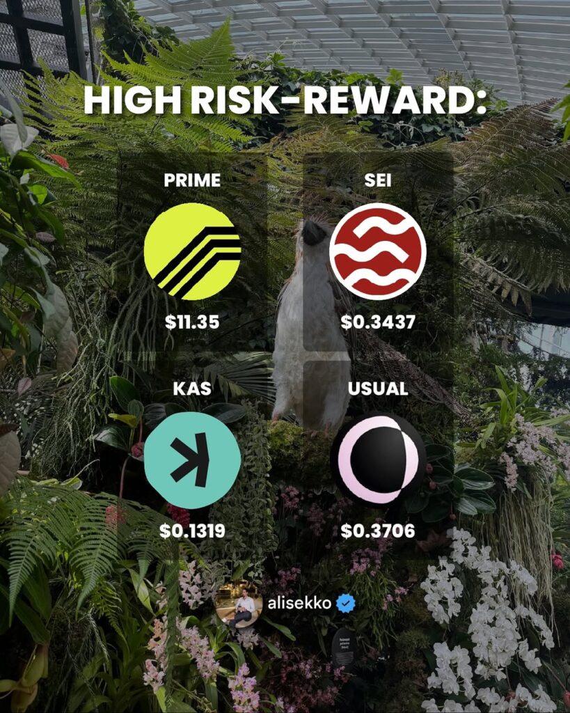 social media content writer